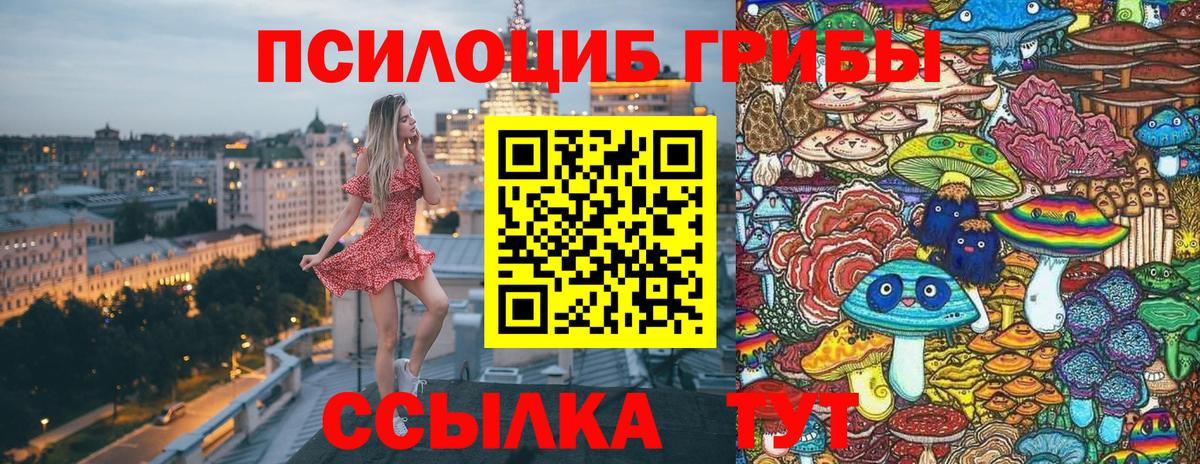 Галлюциногенные грибы Psilocybe Можайск